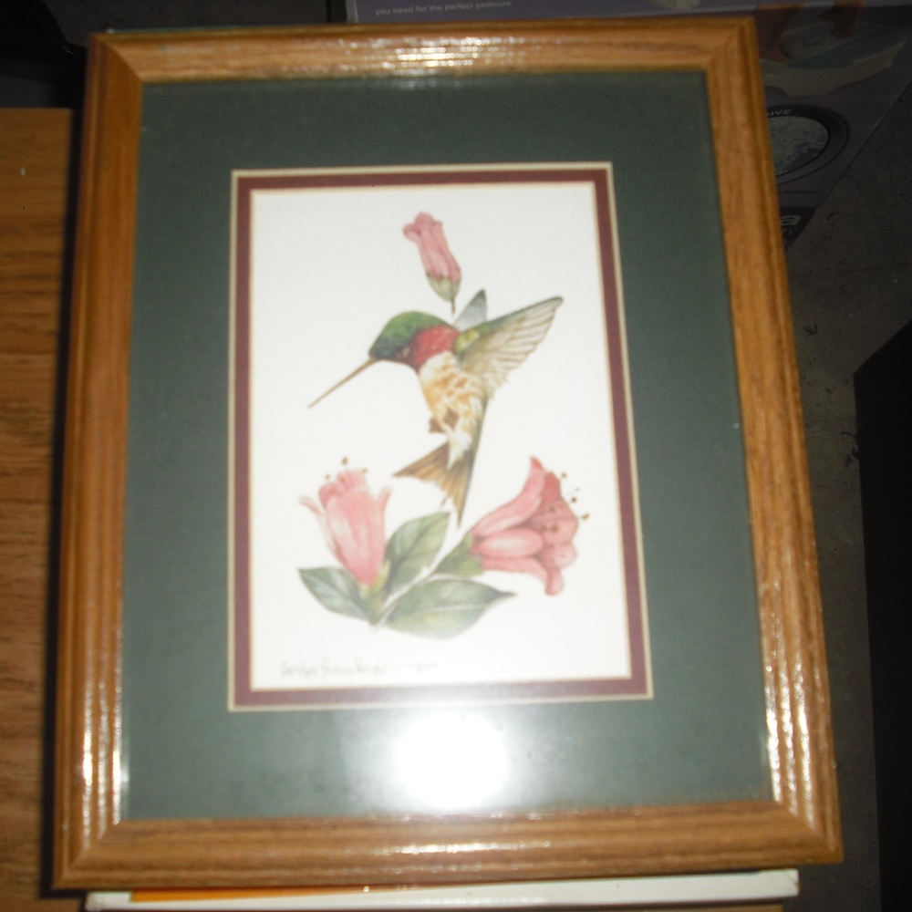 Hummingbird Carolyn Shores Wright '97 Framed Art